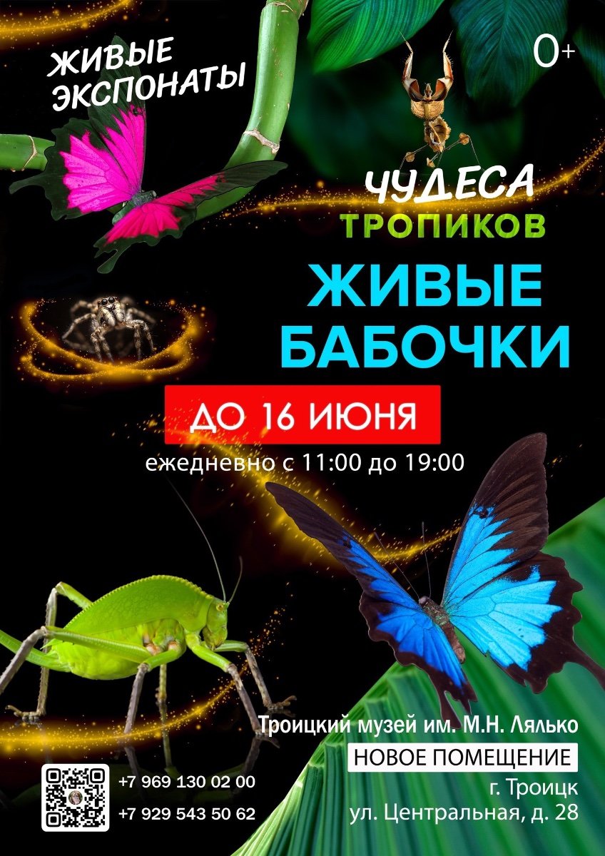 ТРОИЦК! ДО 16 ИЮНЯ ПРОДЛЕВАЕТСЯ ВЫСТАВКА «ЧУДЕСА ТРОПИКОВ»! - Услуги -  Новые Ватутинки Форум